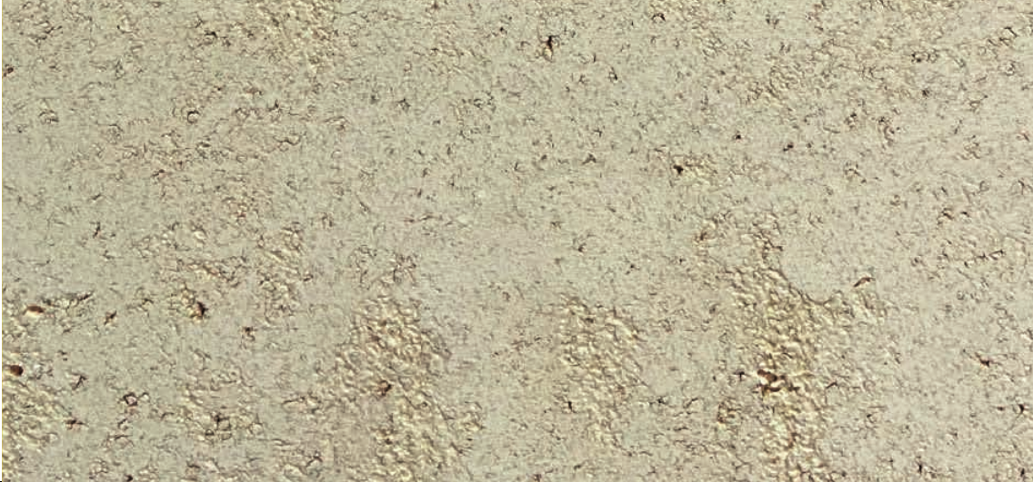 BÉTON PIETRA