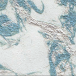 EV-45
