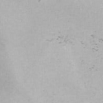 OX-22