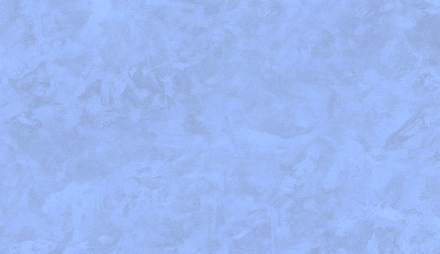 TN_02 FORTE